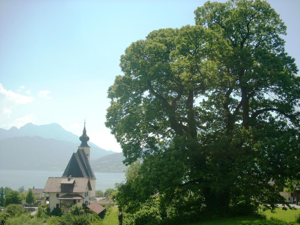 Attersee-Chalet Angermann Familie Spalt Steinbach am Attersee Exteriér fotografie